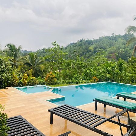 Rainforest Mount Lodge デニヤヤ エクステリア 写真