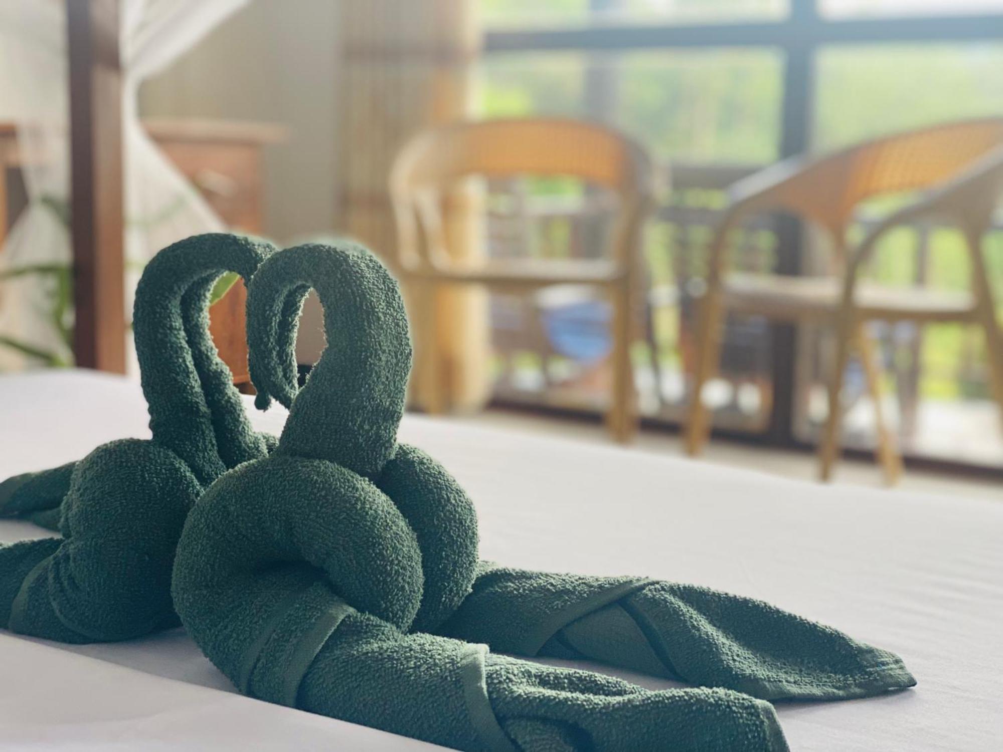 Rainforest Mount Lodge デニヤヤ エクステリア 写真